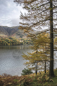 英格兰湖区布特默尔湖风景图Butter图片