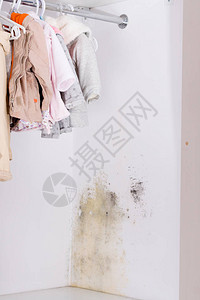 壁橱和架子上的持久霉菌挂孩子的衣服图片
