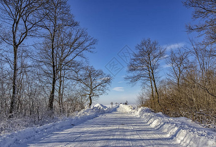 冬季景观中空荡的积雪道路图片