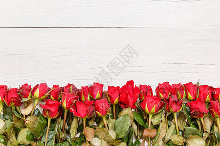 白木甲板上顶端视图新鲜红玫瑰花图片