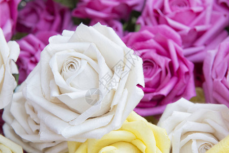 人造白玫瑰花的特写手工纸玫瑰花背景图片