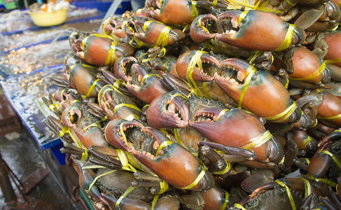 螃蟹的捕获必须在市场上有约束人们吃的海产食图片