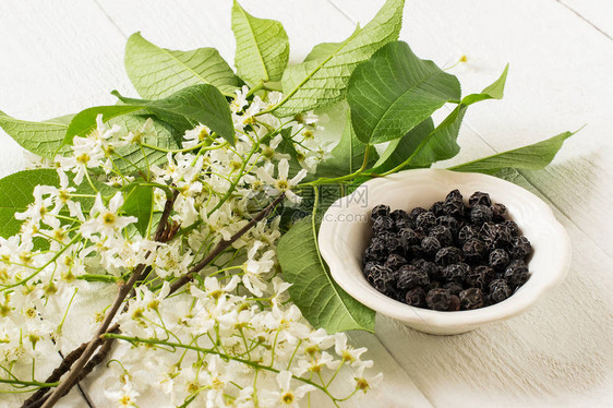 药用植物鸟樱桃Prunus图片