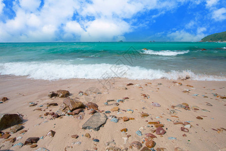 美丽的大海和沙滩图片