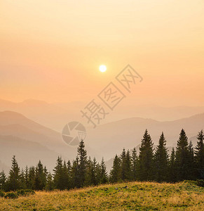 山丘上的森林夏天美丽的自然风图片