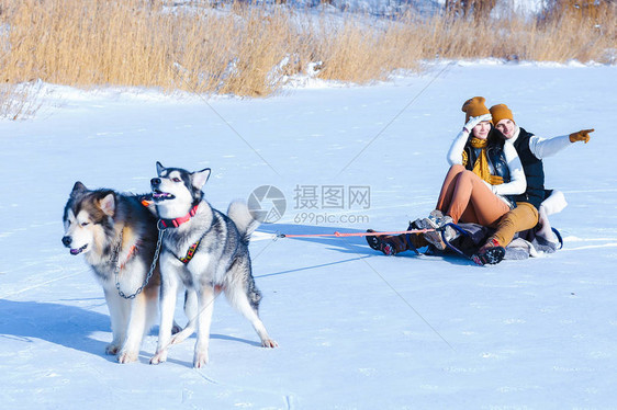 女孩和男孩欧洲外观在冬天的白雪中拥抱两只狗在外面玩耍年轻夫妇男女相爱图片