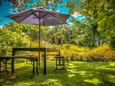 位于Lush后院花园的沙德草原上带有椅子和帕拉索尔椅的图片