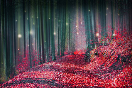 魔法童话森林有萤火虫灯图片