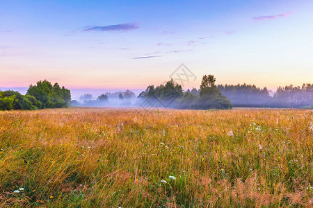 波兰充满活力的风景与大雾草地荒背景图片