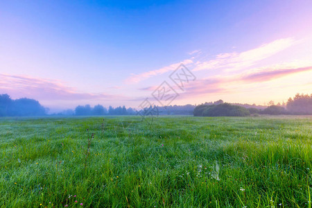 美丽的早晨在雾的草原上神秘而枯燥的草原景图片