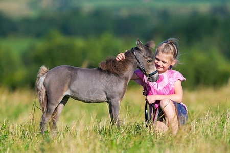 与一匹小微型马在领域的小孩女孩和小马驹在户外夏日可爱的背景图片