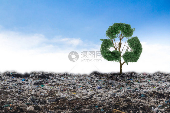 概念回收大树在垃圾图片