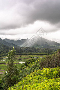 夏威夷Kauai的Hanalei图片