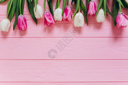 木桌上美丽的郁金香花图片