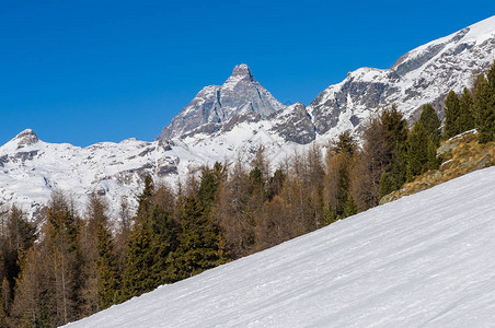 冬季在Champoluc滑雪山图片