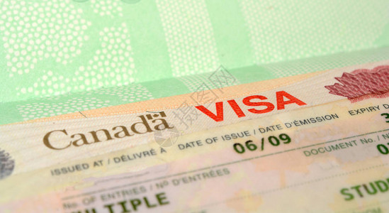 加拿大VisaStam图片