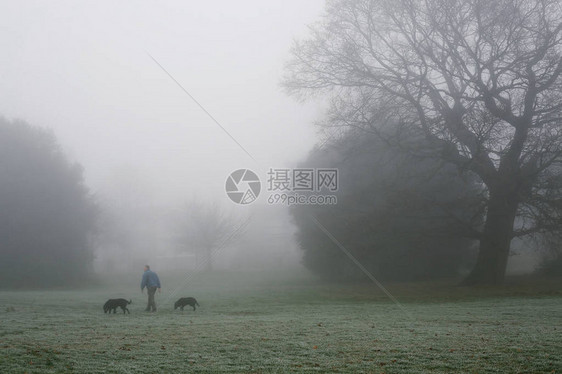 在伦敦的布罗姆菲尔德公园一个人在寒冷的图片