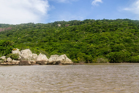 具有热带森林的Guaiba湖ItapuaViamao图片