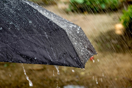 雨滴从一把黑伞上落下图片