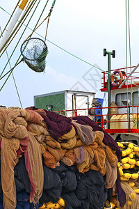 渔网捕鱼线图片
