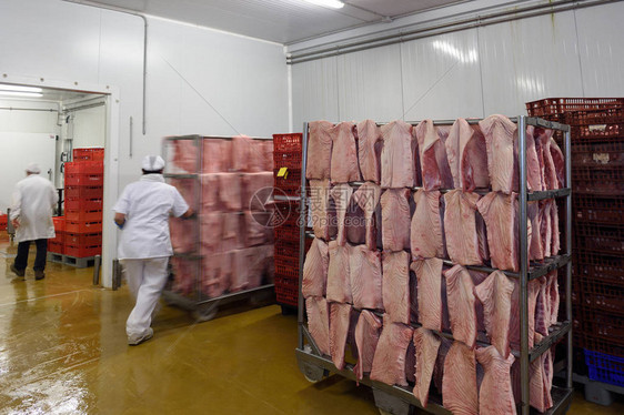 肉类工业加工猪肉图片