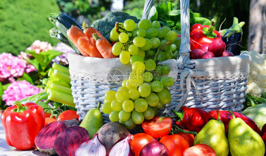 花园里新鲜的有机蔬菜和水高清图片下载-正版图片505012868-摄图网