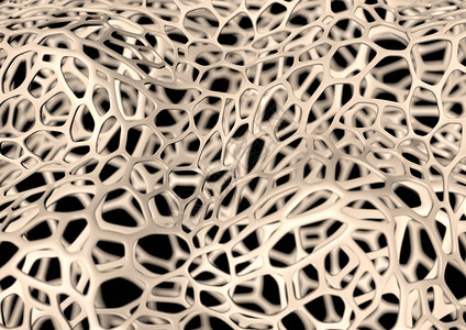 骨纤维3d图图片
