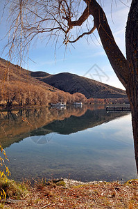 本莫尔湖的金色美丽秋色与柳树和船在背景中注图片
