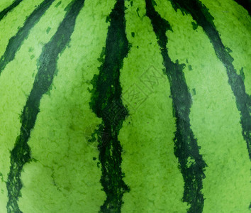 西瓜新鲜水果食品绿色甜图片