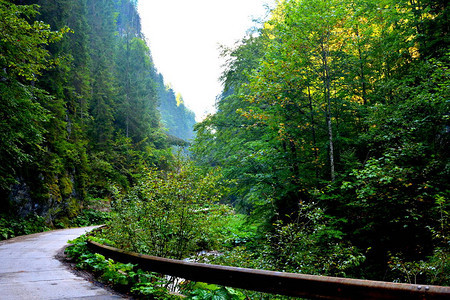 风景在阿普塞尼山图片