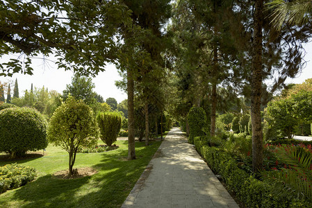 伊朗设拉子的Eram花园图片