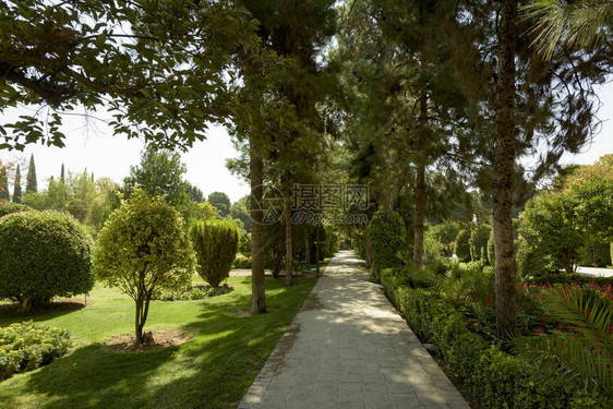 伊朗设拉子的Eram花园图片