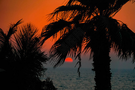 阿拉伯湾的热带日落迪拜背景图片