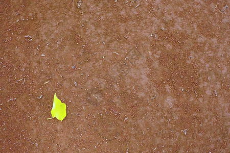 黄桦叶网球场干浅红色碎砖表面柔软效果背景图片