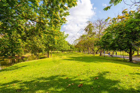 绿色景观城市公园草和图片