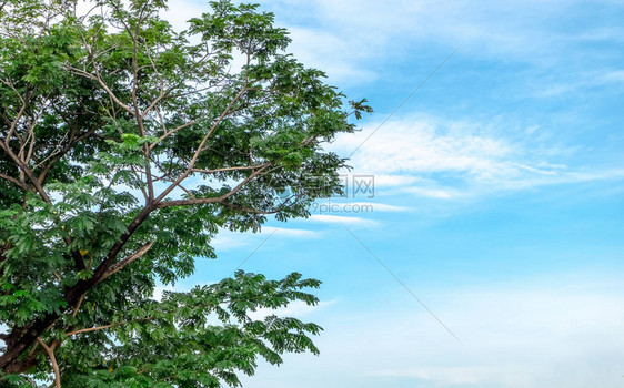 蓝色云蓝天空背景底视图图片