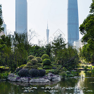 前往春季天在广州市朱江图片