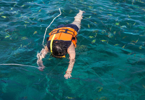 旅游者在泰国的菲斐群岛享受与安达曼海中的救生衣一同向上图片