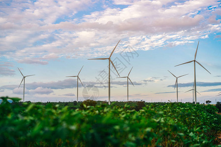 风力涡轮机农场环保能源可持续发展风力发电的可再生可持续和替图片