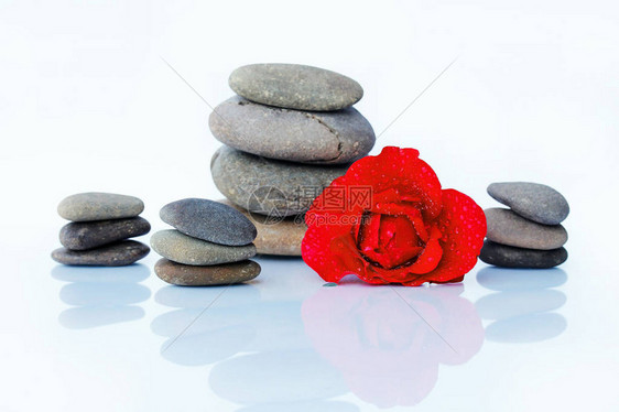 红玫瑰与水滴和石头风水的和谐图片