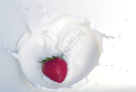 草莓飞溅奶昔奶油酸奶牛奶乳制品图片