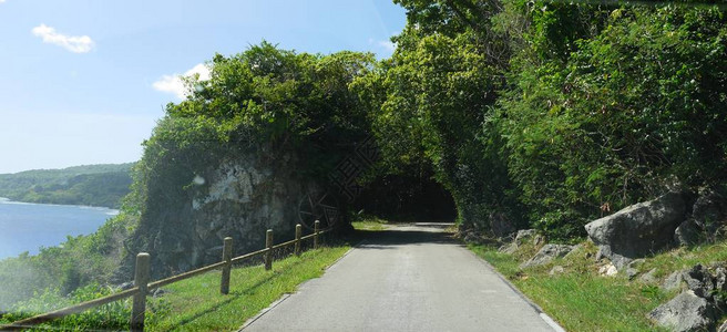 通向热带岛屿树木和茂密树叶隧道的沿海公路图片