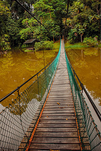 夏季湖上悬浮桥马来西亚图片