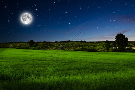 草原月亮图片