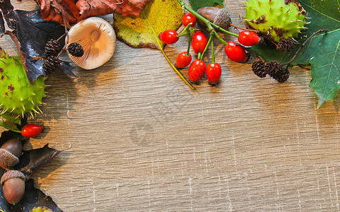 秋天静物蘑菇橡子栗子木背景上的叶子图片