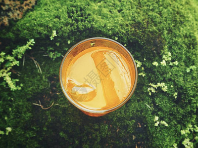 苔藓上一杯冷鲜橙汁的高架视图图片