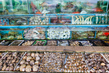 香港西贡海鲜市场的鱼缸里塞满了鱼龙虾螃蟹和其他软体动物海鲜西贡村以其众多的海鲜餐厅和水背景图片