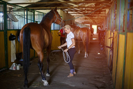 有她的马幸福女人在她的马旁边的美丽的年轻女骑士图片