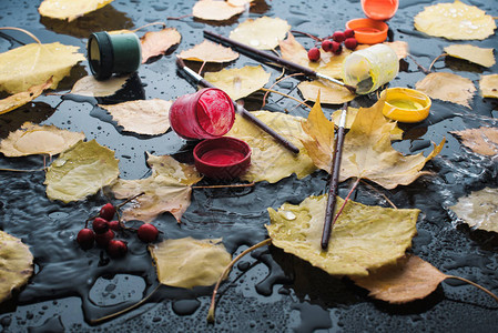 水的颜色和刷子顶部视图秋色概念平图片