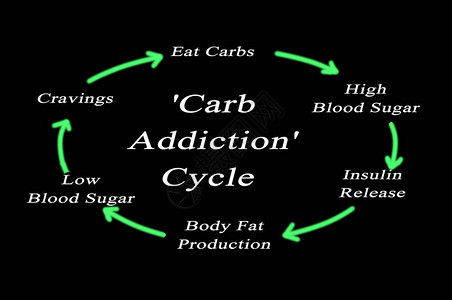 碳水化合物成瘾循环图图片
